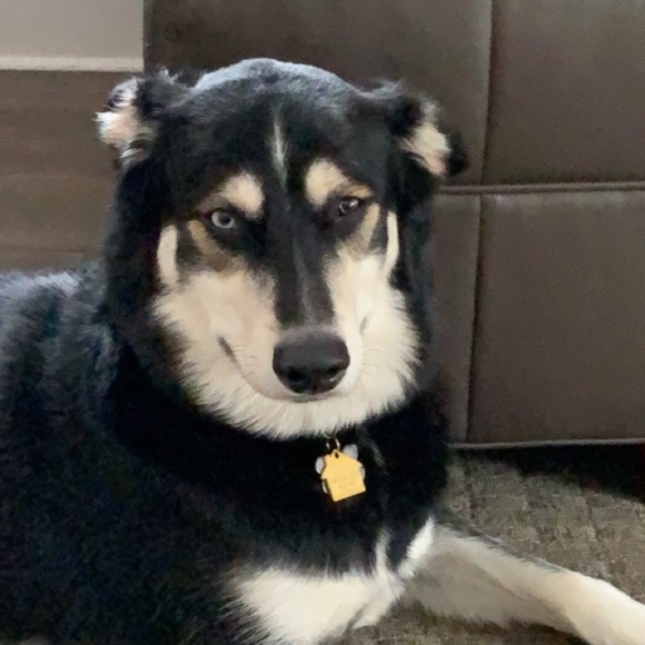 Profile Picture of Justin Sistrunk (@justin_sistrunk) on Poshmark