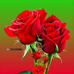 Profile Picture of Rose Carmelle Morissette (@Rose-Carmelle-Morissette) on Facebook