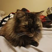 Profile Picture of Amber Day (@amberday7776) on Youtube