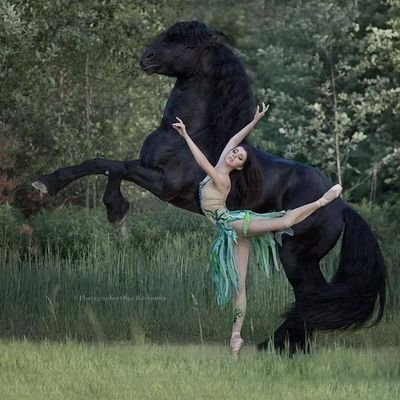 Profile Picture of Nikolai Stoyanov (@NikolaiStoyano6) on Twitter