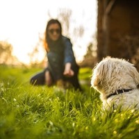 Profile Picture of Jill Schultz  (@jill-schultz-30) on Quora