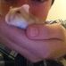 Profile Picture of Joshua Ayling (@joshua.ayling.927) on Facebook