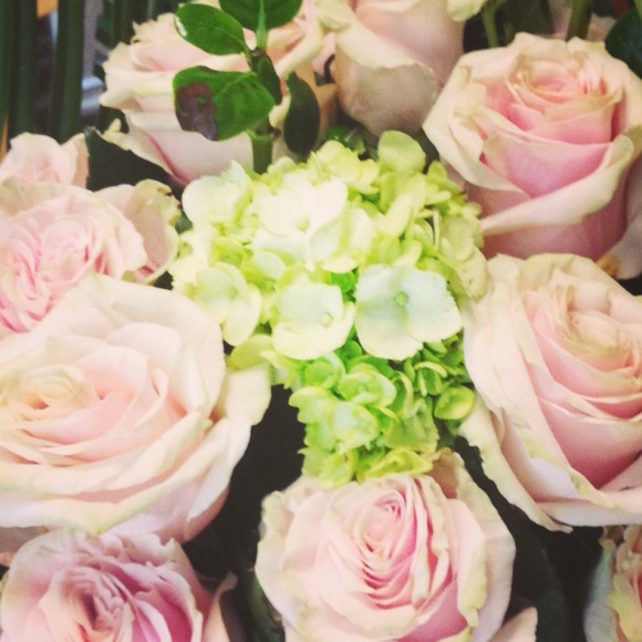 Profile Picture of Jessica Pinales (@jpinales08) on Poshmark