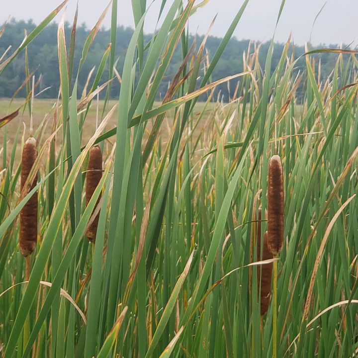 Profile Picture of ericschumann1965 (@ericschumann1965) on Tiktok