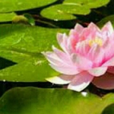 José Fuentes - Twitter Profile Picture of José Fuentes (@CPC_Jose_Fuente) on Twitter