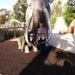 Profile Picture of Trudy Clifton (@trudyclifton) on Pinterest