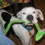 Profile Picture of Stacy Reddy (@reddystacy) on Instagram