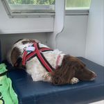 Profile Picture of Kieran Kelly (@_kieran.kelly) on Instagram