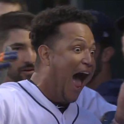 Profile Picture of Miguel Cabrera’s Bat (@Miggysbat) on Twitter