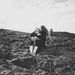 Profile Picture of melinda werner (@melindalwerner) on Pinterest