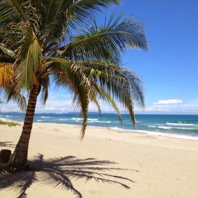 Profile Picture of Cesar Salomon Valladares (@CSV1978) on Twitter