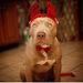 Profile Picture of Ray Robin (@larry8521) on Pinterest