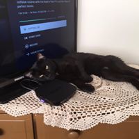 Profile Picture of Mark Zakovitch (@mark-zakovitch-1) on Quora