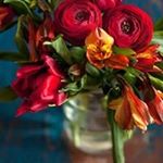 Profile Picture of Albert Murillo (@albert.murillo.1675) on Instagram