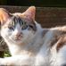 Profile Picture of Myrna Vd Wiele (@myrna.vdwiele.3) on Facebook