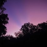 Profile Picture of Craig Roland (@craig.roland.3) on Instagram