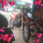 Tani Gula Aren - Facebook Profile Picture of Tani Gula Aren (@Tani-Gula-Aren) on Facebook