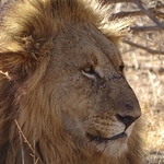 Profile Picture of David Knaggs (@d_knaggs) on Flickr