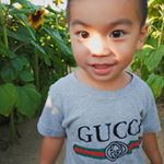 Profile Picture of Nathan Avery (@tinyhooooman) on Instagram