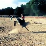 Profile Picture of Brant Cookston (@badcat_116) on Instagram