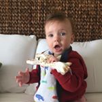 Profile Picture of Oscar & Gus Epps (@miniepps) on Instagram