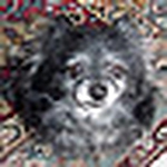 Profile Picture of Sandra Thomas (@sandra la) on Flickr