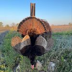 Profile Picture of Brandon Shippy (@bshippy207) on Instagram