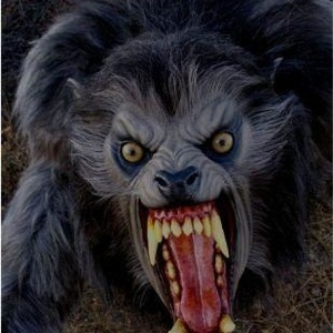 Profile Picture of Tony Barela (@spider1977) on Myspace