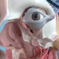 Cj Barrios - Quora Profile Picture of Cj Barrios (@cj-barrios-1) on Quora