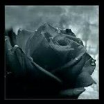 Profile Picture of David Maertens (@maertensdavid) on Instagram