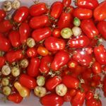 Profile Picture of KarliannPaul Podraza (@karliannpaul) on Instagram