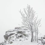 Profile Picture of David Bubeník (@bubenikdavid) on Instagram