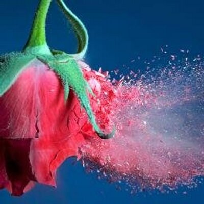 Profile Picture of Anirban Chatterjee (@chat_anirban) on Twitter