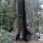 Profile Picture of Peter O'Bannon (@peterobannon) on Instagram