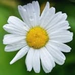 Profile Picture of Erika Viering (@Erika-Viering) on Facebook