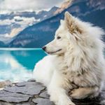 Profile Picture of cutie pie_101 (@jade_mcmahon613) on Instagram