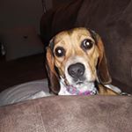 Profile Picture of Brian Gaden (@gatorz40) on Instagram