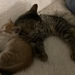 Profile Picture of Robert Gundersen (@Robert-Gundersen) on Facebook