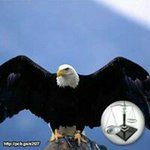 Dustin Wilds - Instagram Profile Picture of Dustin Wilds (@dustinwilds) on Instagram