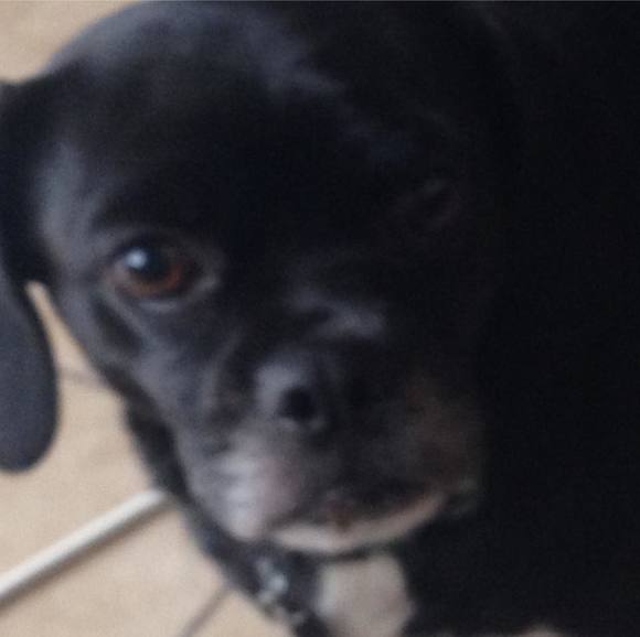 Profile Picture of Omar Miramontes (@omar_miramontes) on Poshmark