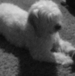 Profile Picture of Debbie Esquer (@debbie.esquer.7) on Facebook