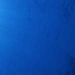 Profile Picture of _EleanorKessler (@_eleanorkesslert) on Instagram