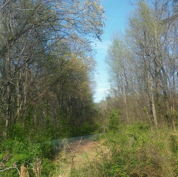 Dannesa Marmol - Poshmark Profile Picture of Dannesa Marmol (@danne25) on Poshmark