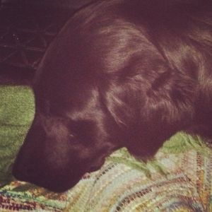 Profile Picture of Filippa (@filippathatme) on Myspace