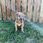 Profile Picture of Aspen Pancake James (@aspen_pancake0216) on Instagram