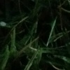 Profile Picture of Anand Agrawal (@@anandagrawal179) on Tiktok