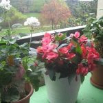 Profile Picture of Pamela Vandenberg (@pamela.vandenberg.98) on Instagram