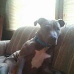 David Sappenfield - Instagram Profile Picture of David Sappenfield (@sappyman76) on Instagram