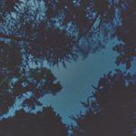 Profile Picture of Jonathan Tong (@jonathantong__) on Instagram