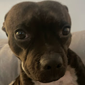 Profile Picture of Ida Reinhold (@idareinhold2558) on Youtube